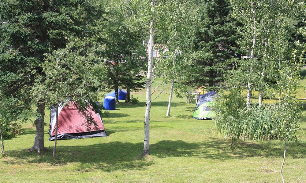 CAMPING SAUVAGE