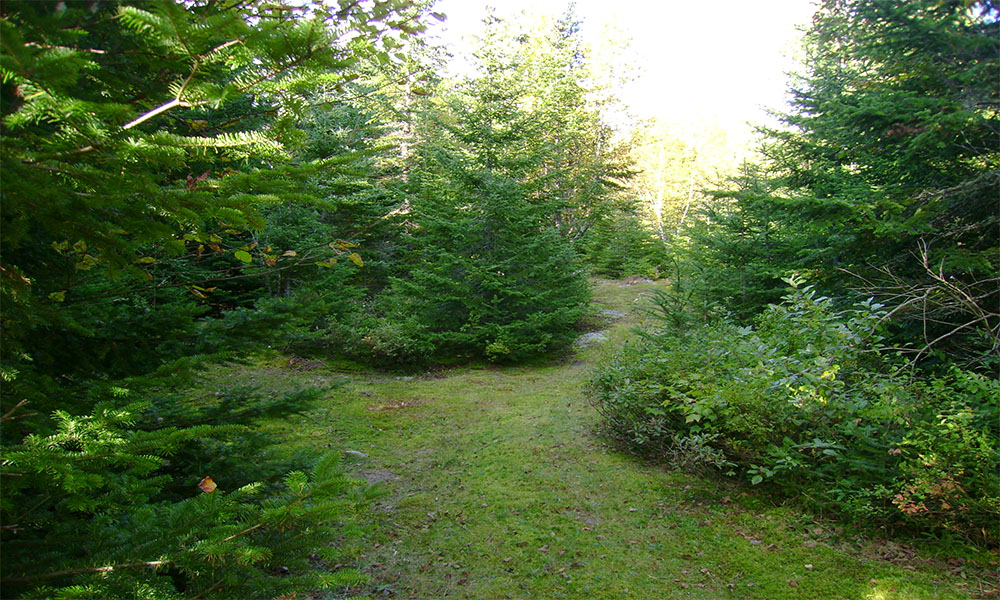 sentier1