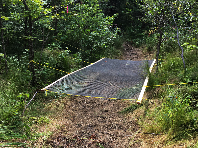 PARCOURS D’HÉBERTISME RADAR RACE